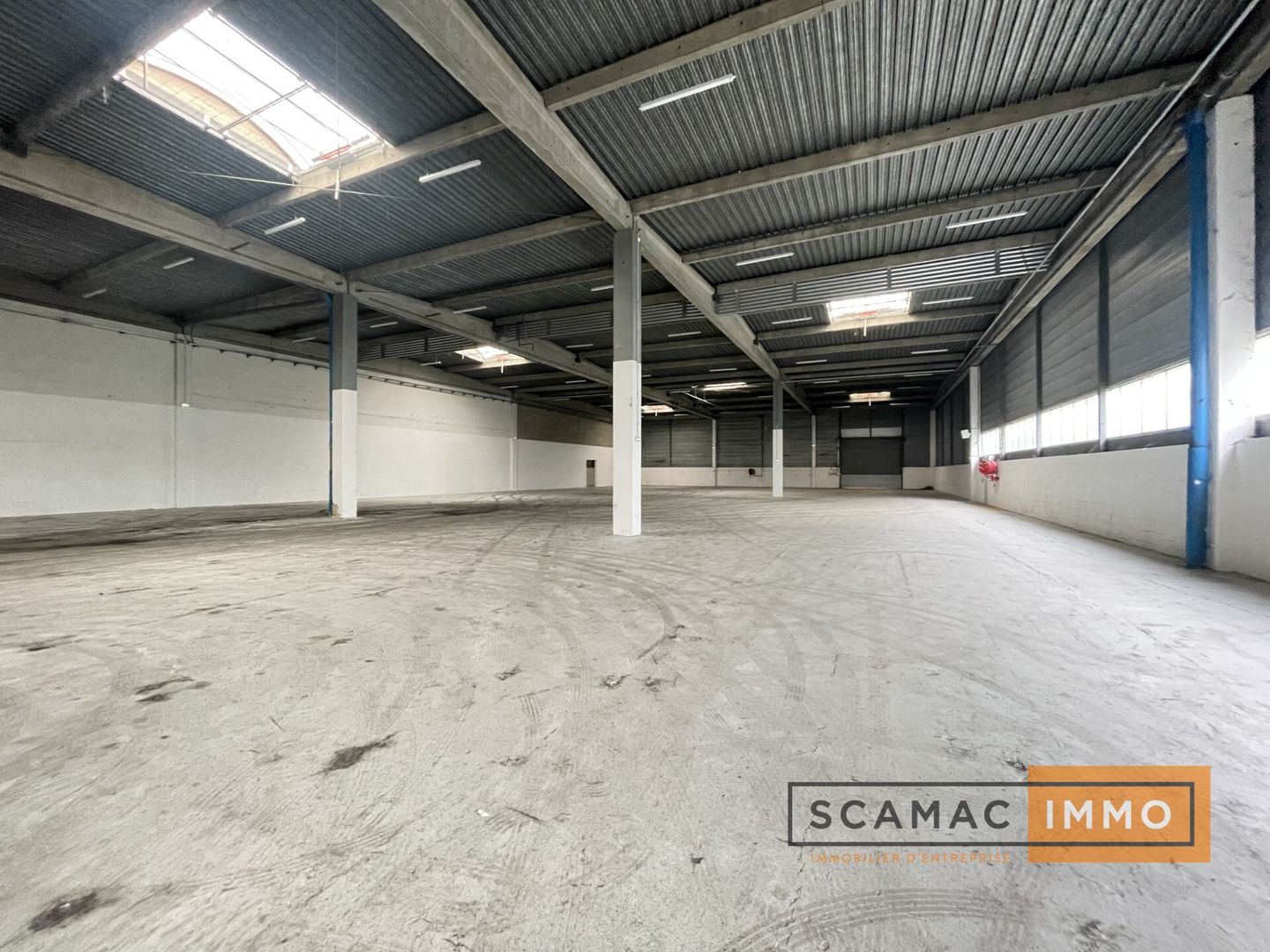 entrepôt de 3 841m², Palaiseau (Essonne)