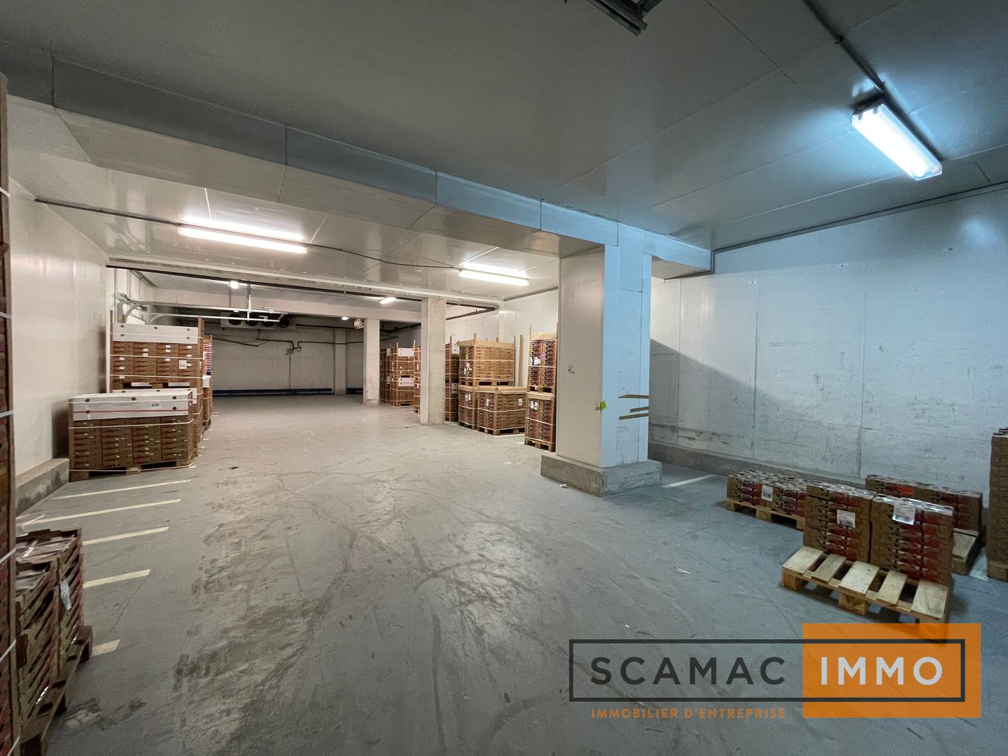 entrepôt frigorifique de 7&nbsp;005m², Thiais (Val-de-Marne)