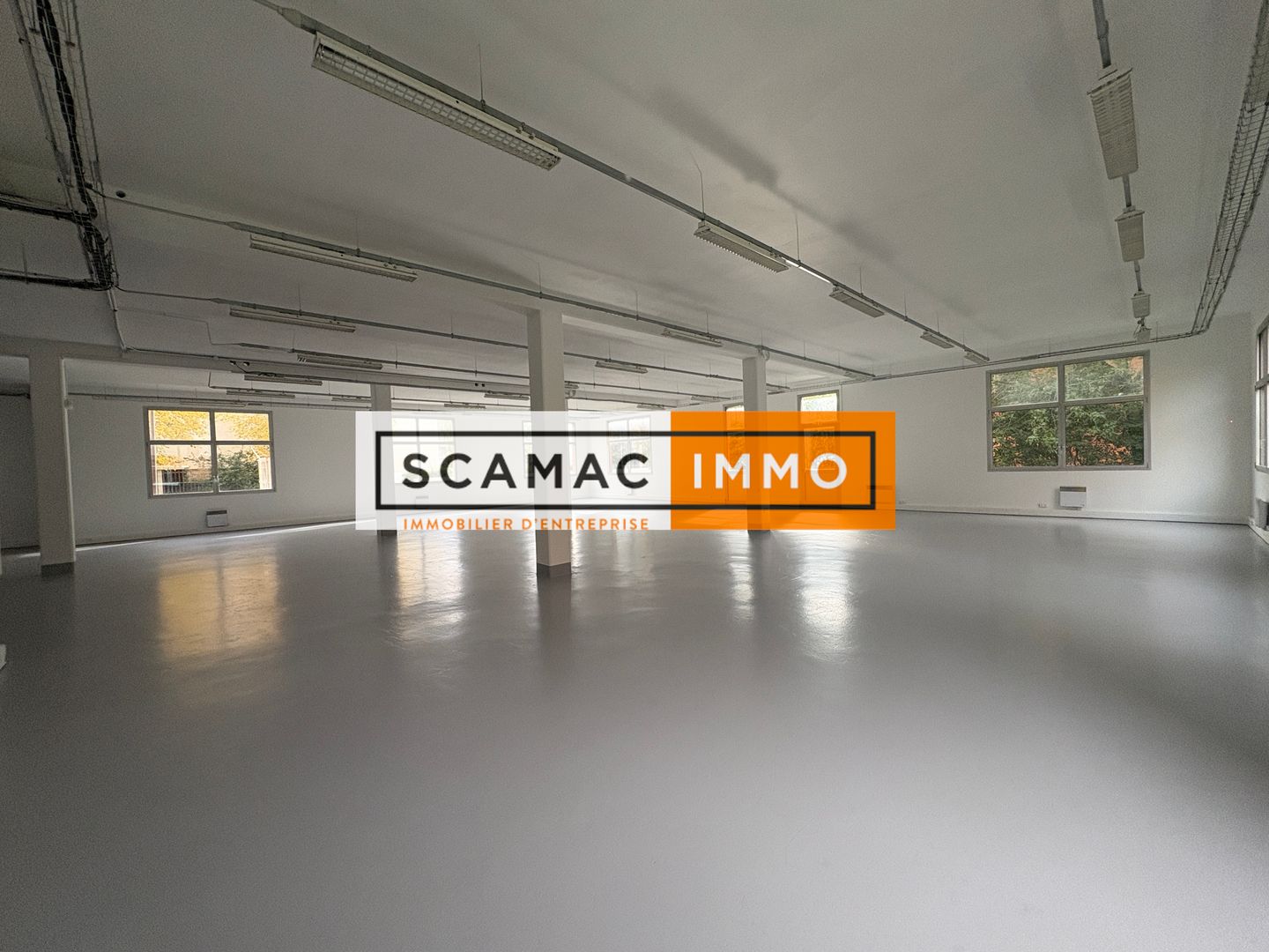 local d'activités de 350m², Chevilly-Larue (Val-de-Marne)