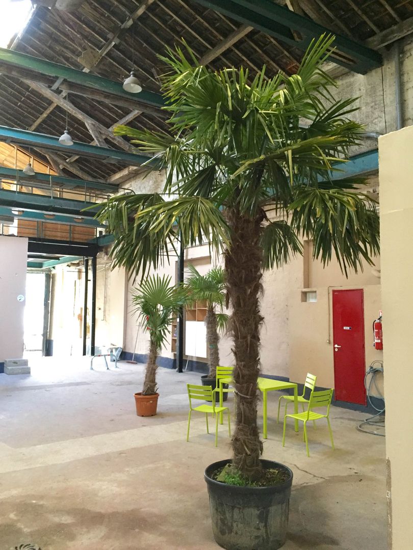 local d'activités de 55m², Ivry-sur-Seine (Val-de-Marne)