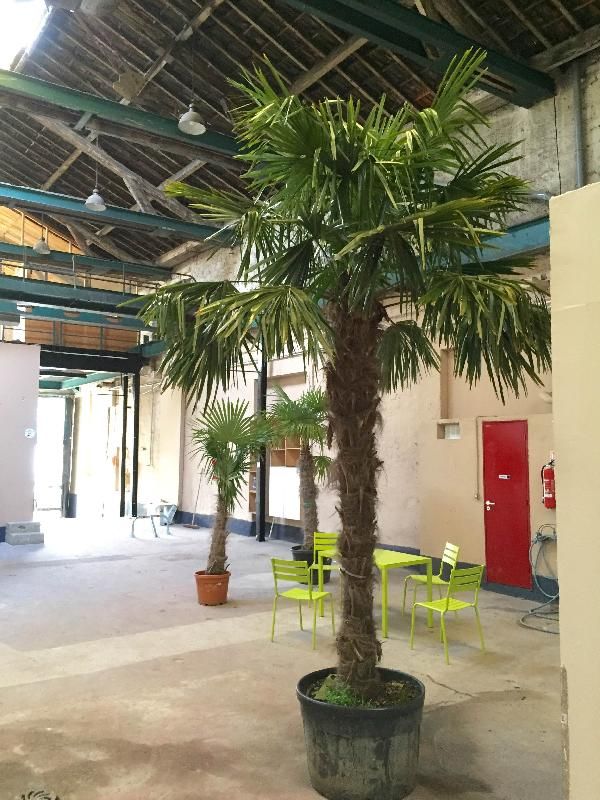 local d'activités de 50m², Ivry-sur-Seine (Val-de-Marne)