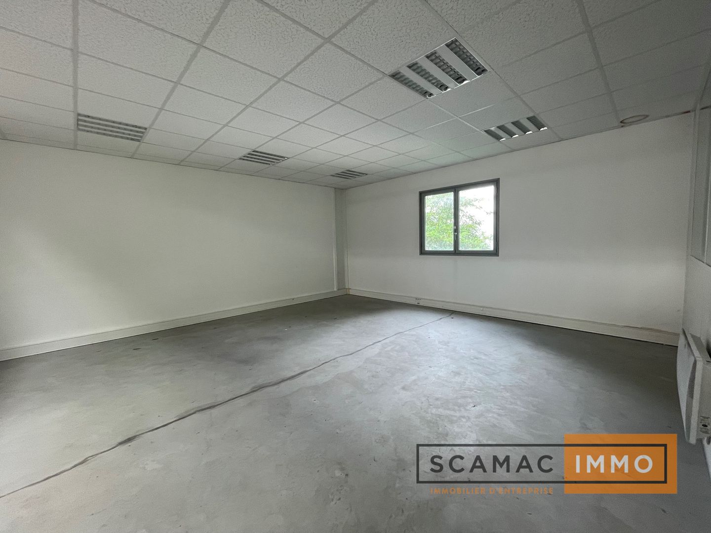 local d'activités de 293m², Palaiseau (Essonne)
