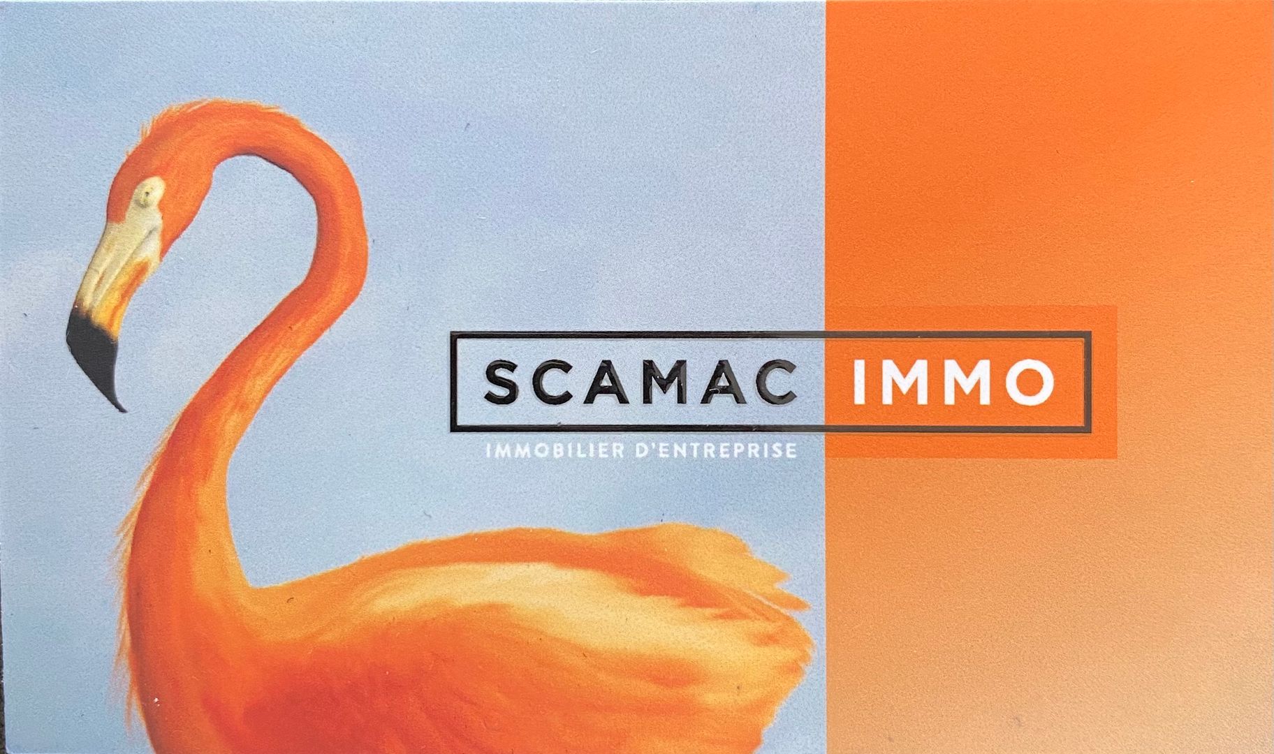 local commercial de 37m², Cabriès (Bouches-du-Rhône)