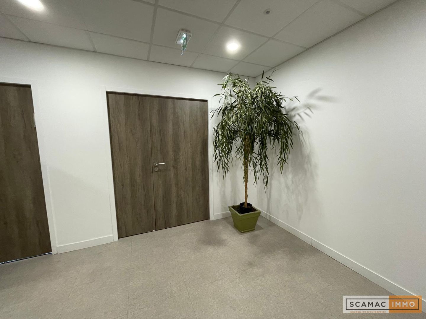 local d'activités de 283m², Vélizy-Villacoublay (Yvelines)
