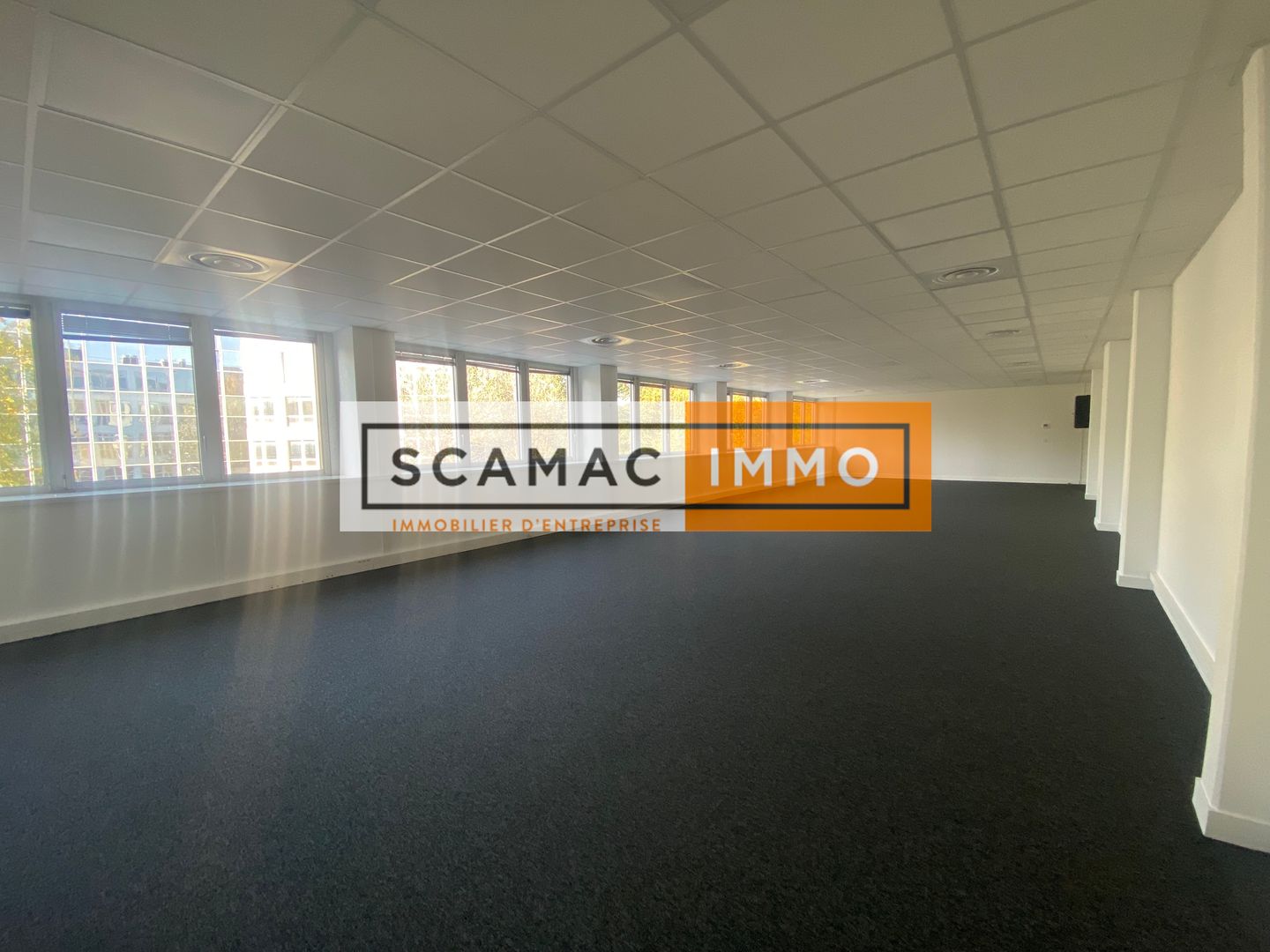 local d'activités de 283m², Vélizy-Villacoublay (Yvelines)