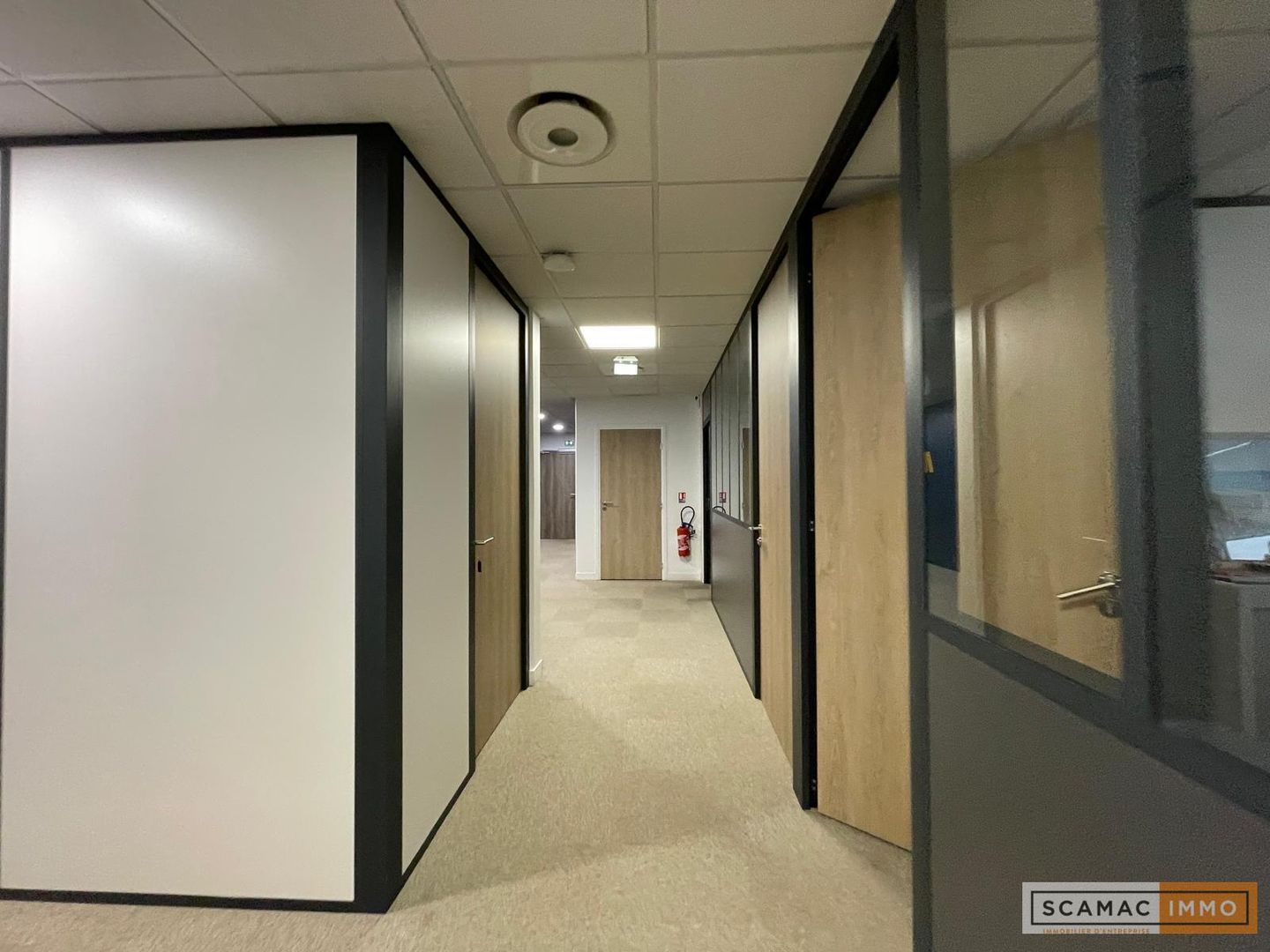 local d'activités de 283m², Vélizy-Villacoublay (Yvelines)