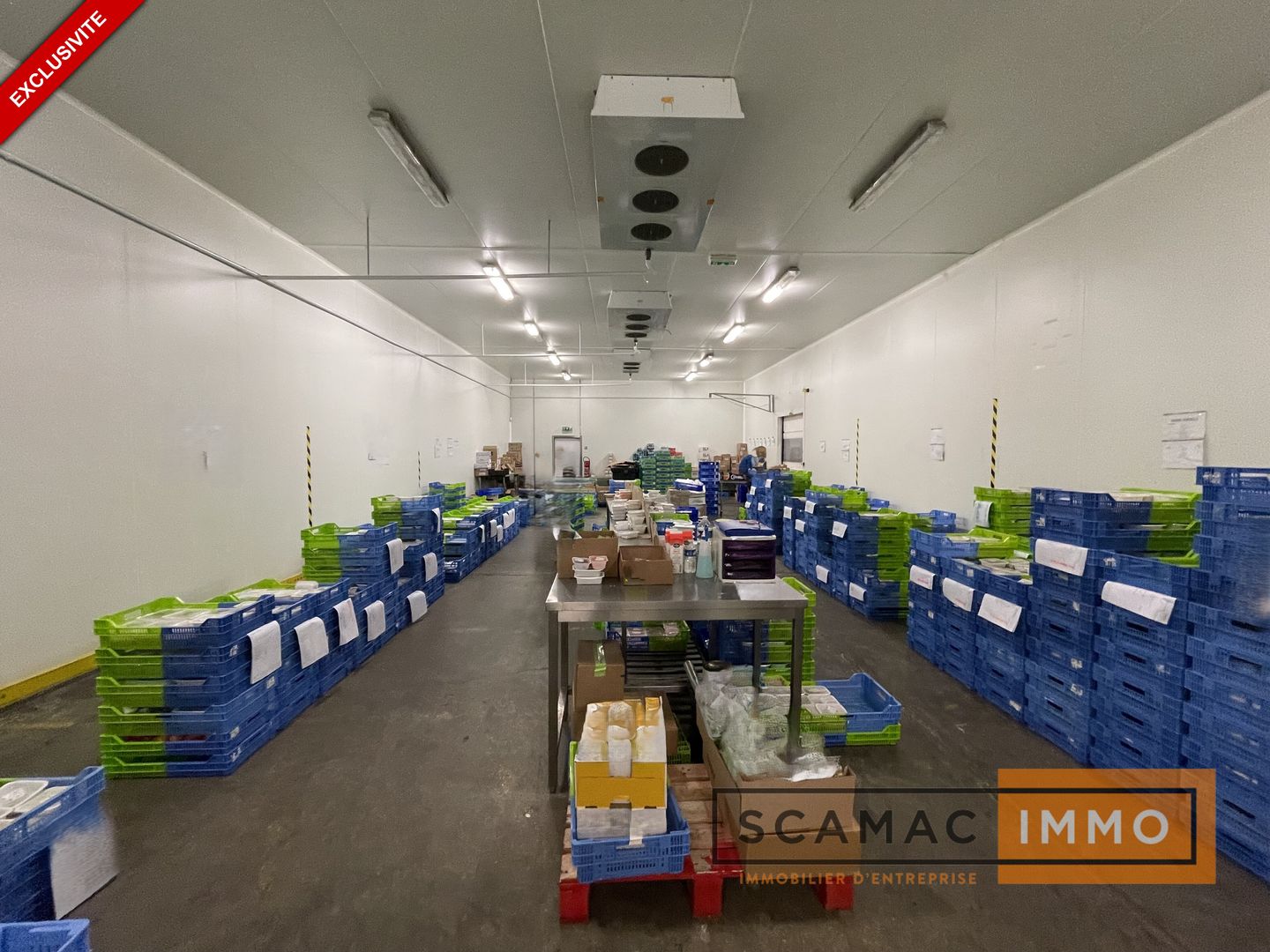 entrepôt frigorifique de 2&nbsp;227m², Orly (Val-de-Marne)