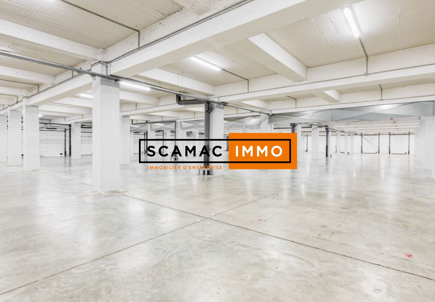 entrepôt de 3 687m², Saint-Denis (Seine-Saint-Denis)