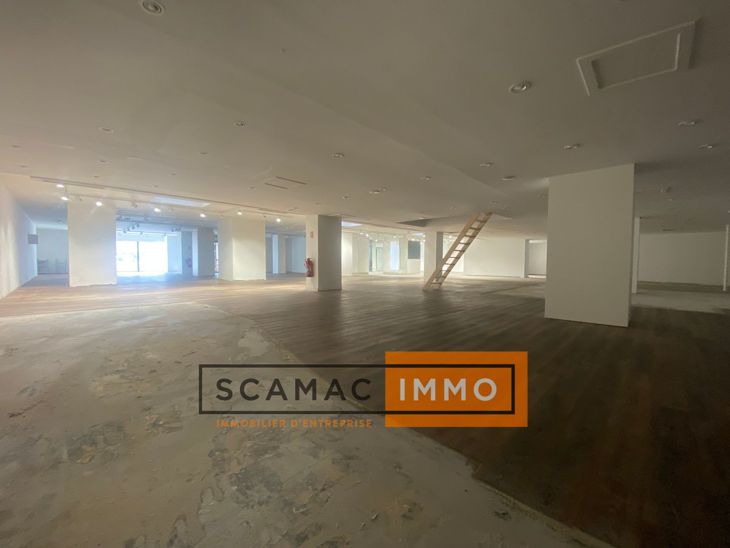 local commercial de 700m², Marseille 8 (Bouches-du-Rhône)