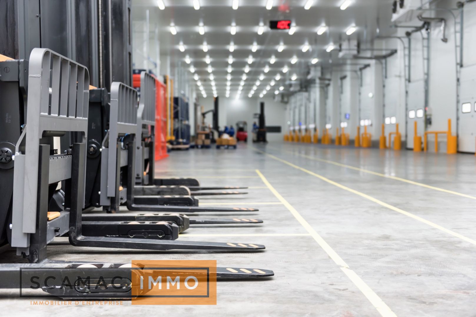 entrepôt de 16 393m², Bondoufle (Essonne)