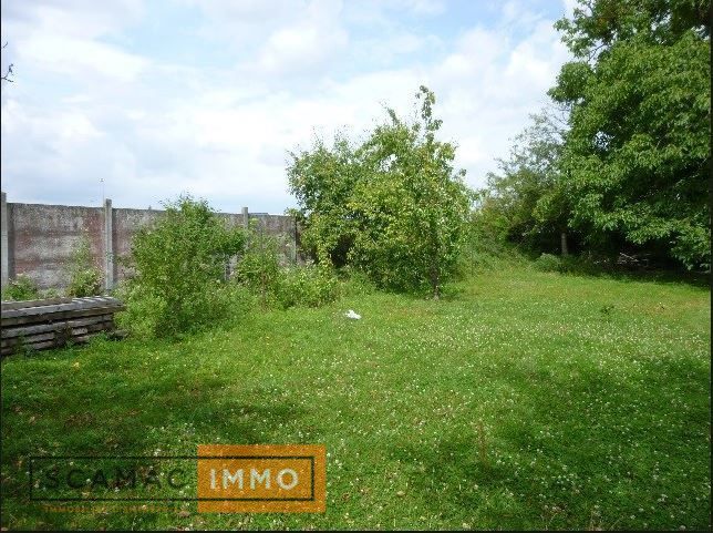 terrain de 5&nbsp;000m², Chamarande (Essonne)