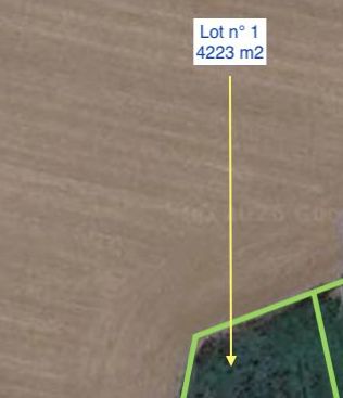 locaux mixtes de 0m², Angerville (Essonne)