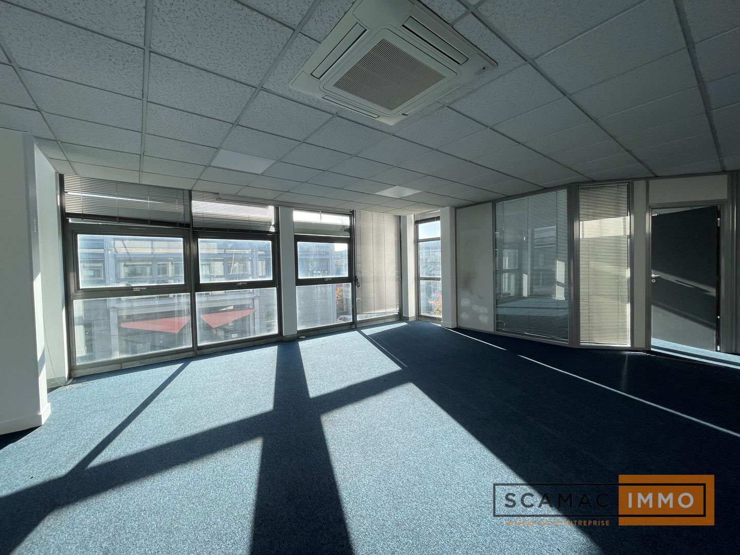 locaux mixtes de 362m², Sucy-en-Brie (Val-de-Marne)