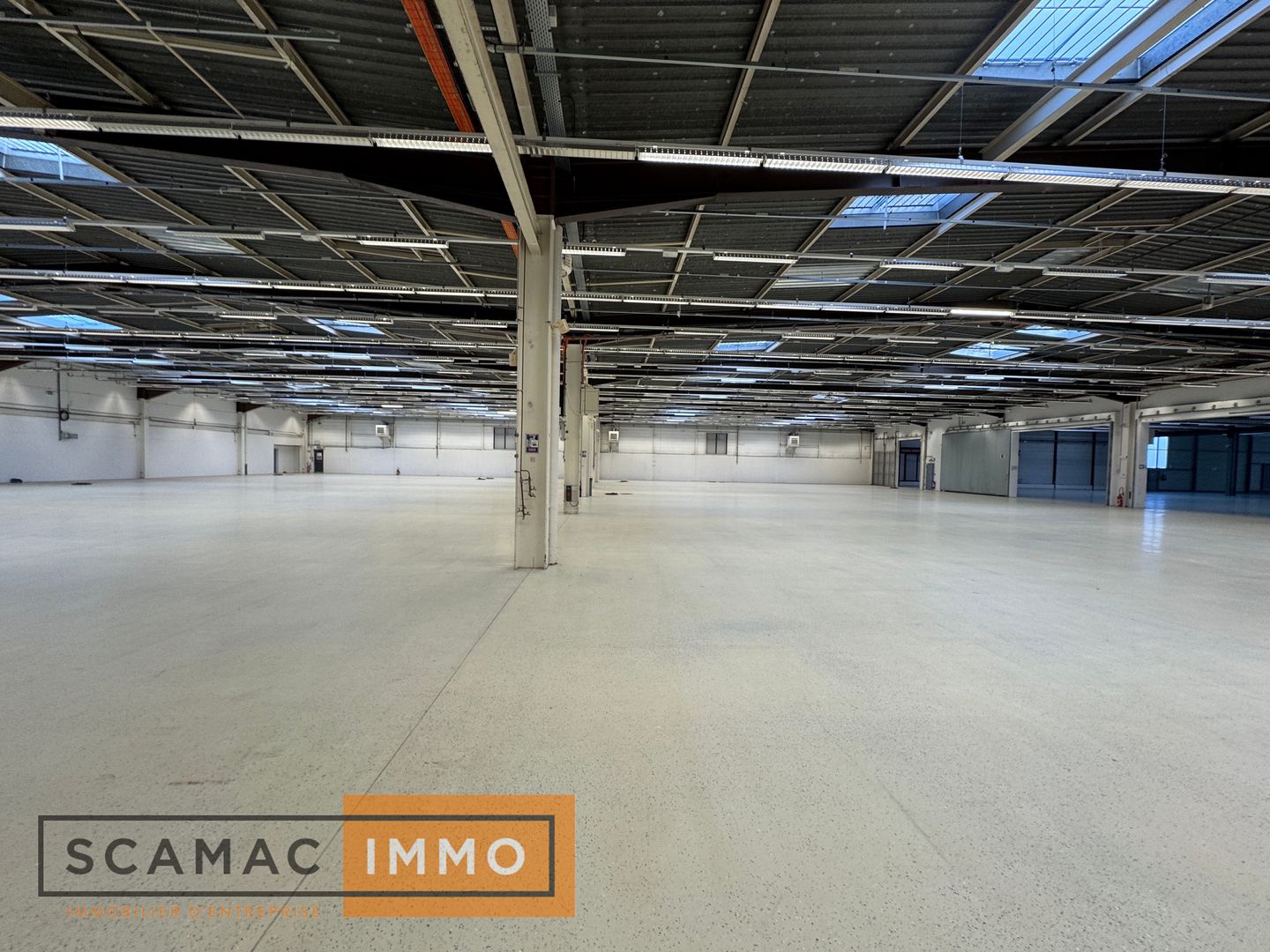 local d'activités de 3&nbsp;309m², Les Ulis (Essonne)